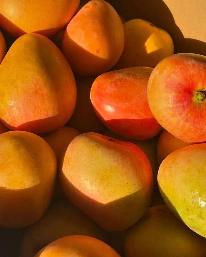 Manteca de Mango