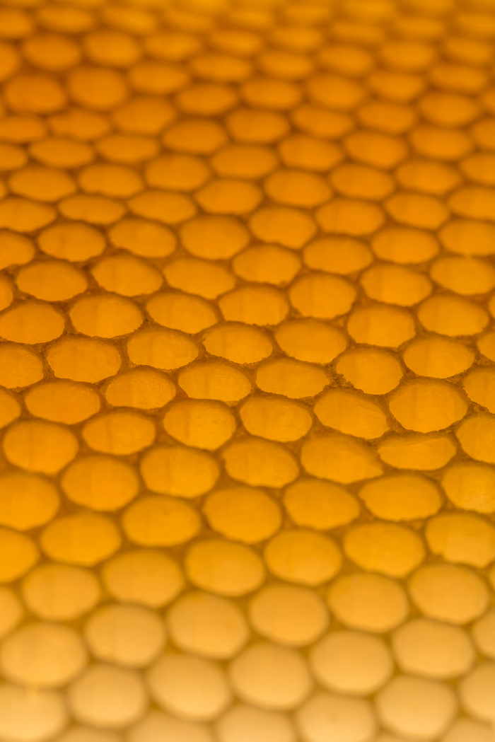 Cera de Abeja