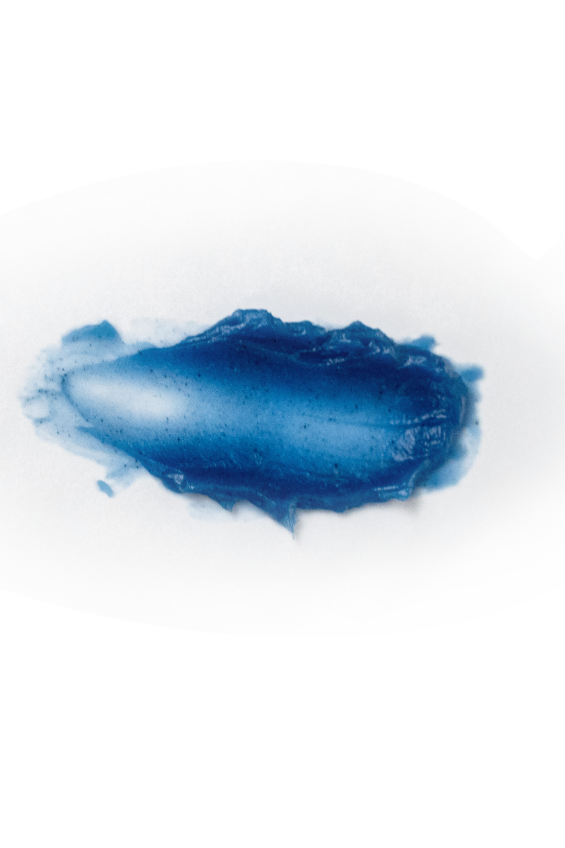ROYAL BLUE: Protección Activa y Calma Absoluta